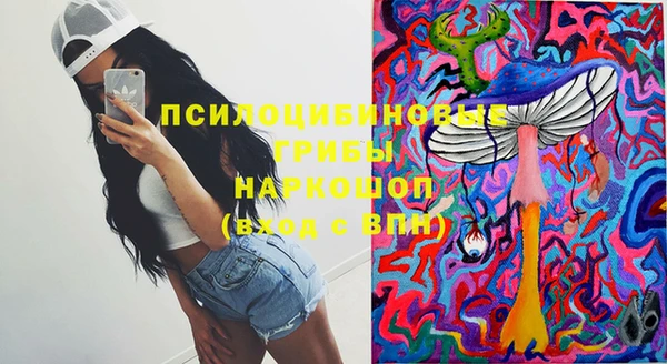 ГАЛЛЮЦИНОГЕННЫЕ ГРИБЫ Бородино