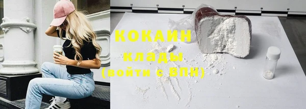 ГАЛЛЮЦИНОГЕННЫЕ ГРИБЫ Бородино