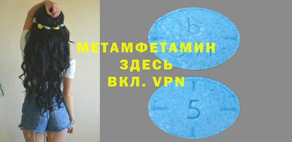 ГАЛЛЮЦИНОГЕННЫЕ ГРИБЫ Бородино