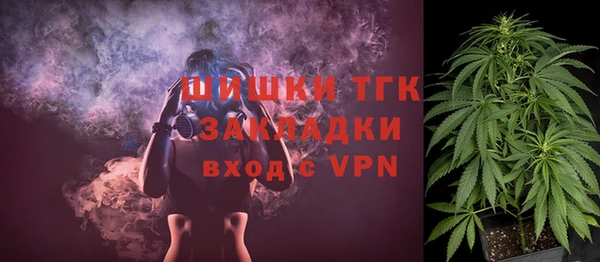ГАЛЛЮЦИНОГЕННЫЕ ГРИБЫ Бородино