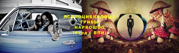 ГАЛЛЮЦИНОГЕННЫЕ ГРИБЫ Бородино