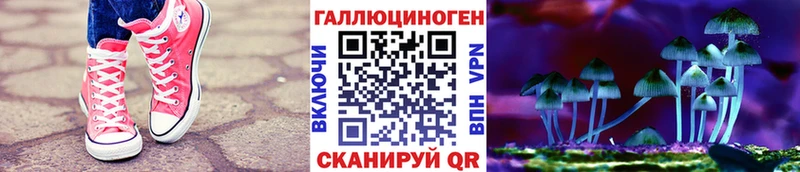 Псилоцибиновые грибы Psilocybe  Купить где  Аткарск 